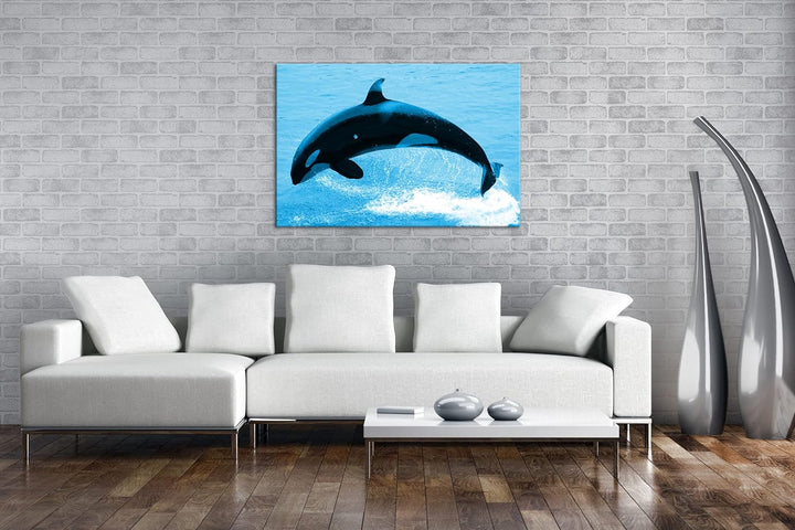 deyoli verspielter Orca Format 100x70 Effekt: Monocrome Blau als Leinwandbild, Motiv fertig gerahmt