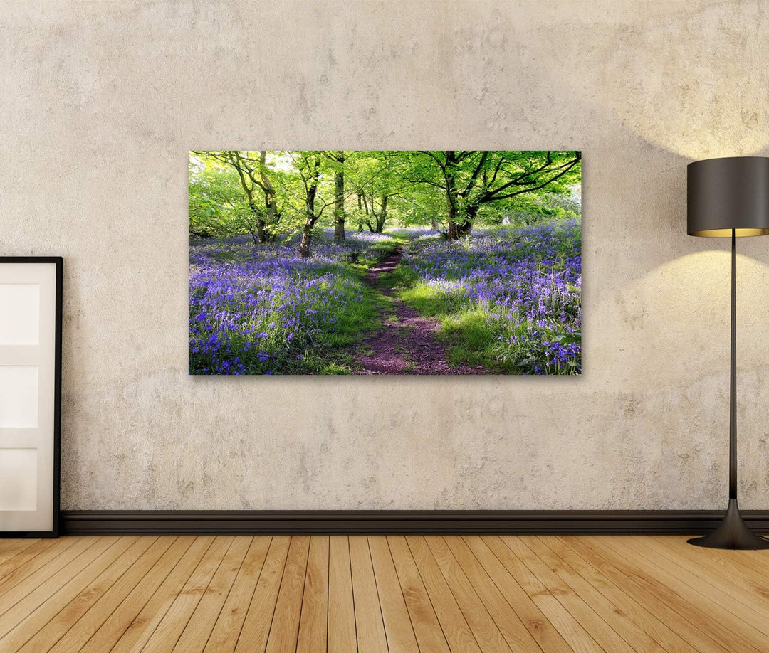 islandburner Bild auf Leinwand Blaue Glocken Blumenwiese In Schottland Bilder Wandbilder Poster Lein