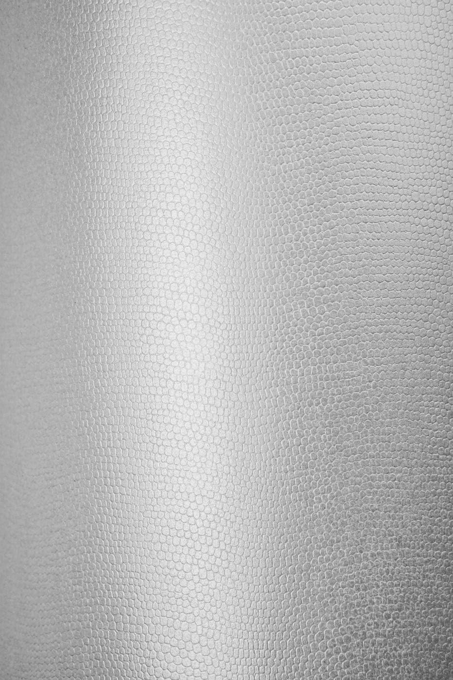 100 Blatt Perlmutt-Weiss Dekor-Karton einseitig geprägt DIN A4 210x297 mm 215g Constellation Jade Li