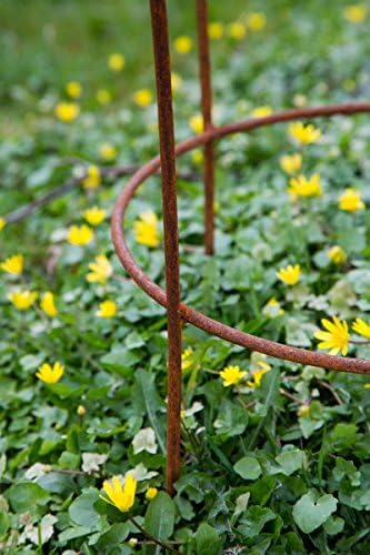 KUHEIGA Stabiler Staudenhalter Rost H: 80cm, Volleisen Strauchhalter, Rankgerüst,