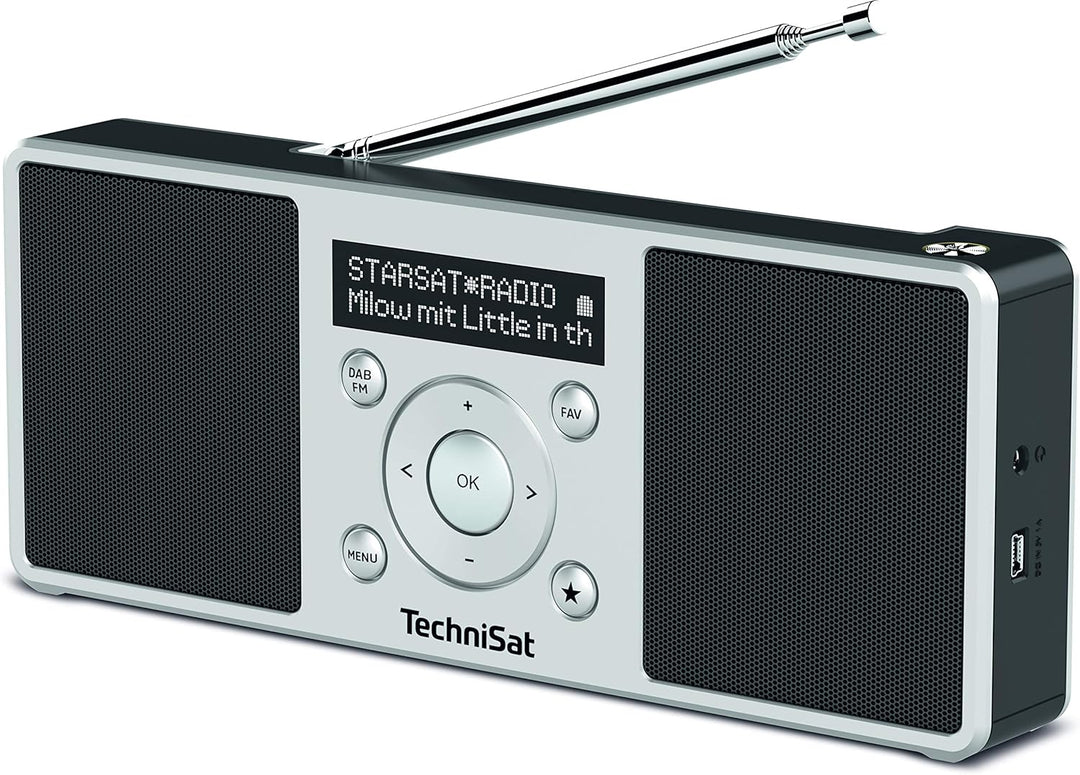 TechniSat Digitradio 1 S - tragbares Stereo DAB Radio mit Akku Silber/schwarz & Akku zu DIGITRADIO 1