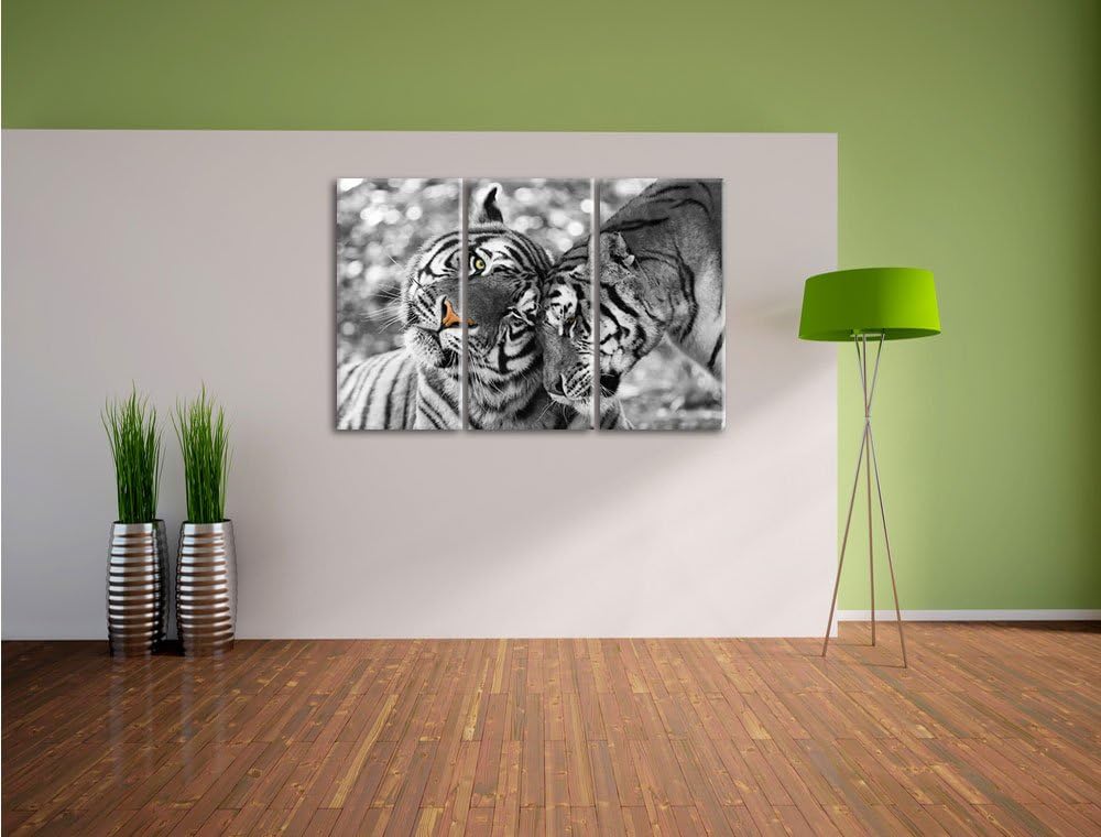 Pixxprint Zwei liebkosende Tiger als Leinwandbild/Grösse: 3 Teilig (120x80) cm/Wandbild/Kunstdruck/f