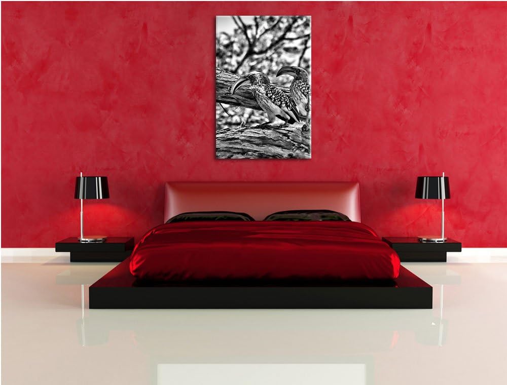 Pixxprint Zwei exotische Vögel auf Baum / 100x70cm Leinwandbild bespannt auf Holzrahmen/Wandbild Kun