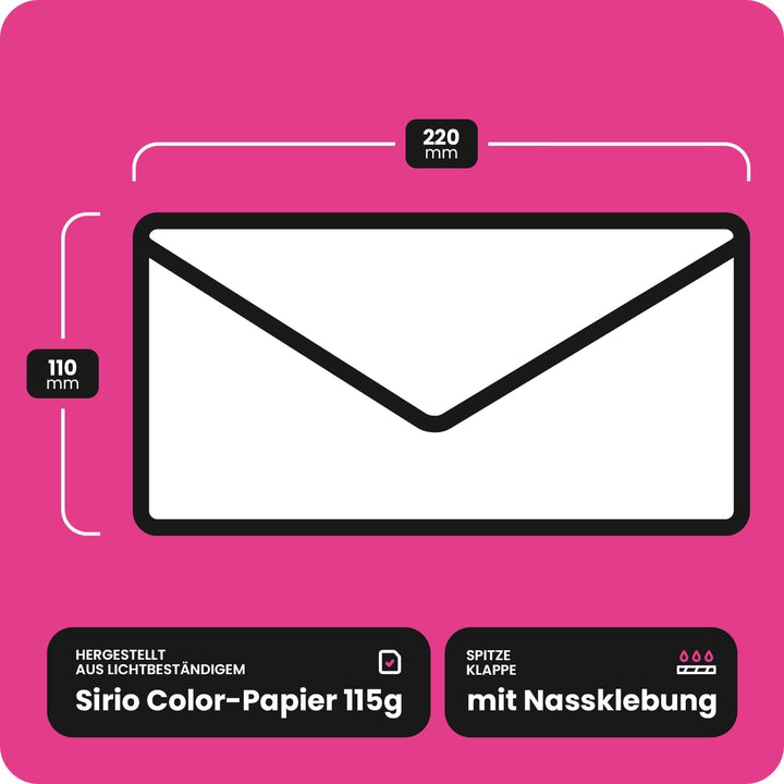 Netuno 100 Briefumschläge Graphit-Dunkel-Grau DIN lang 110 x 220 mm 115g Sirio Color Antracite Brief