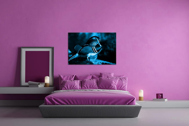 deyoli niedliche Holzente Format 80x60 Effekt: Monocrome Blau als Leinwandbild, Motiv fertig gerahmt