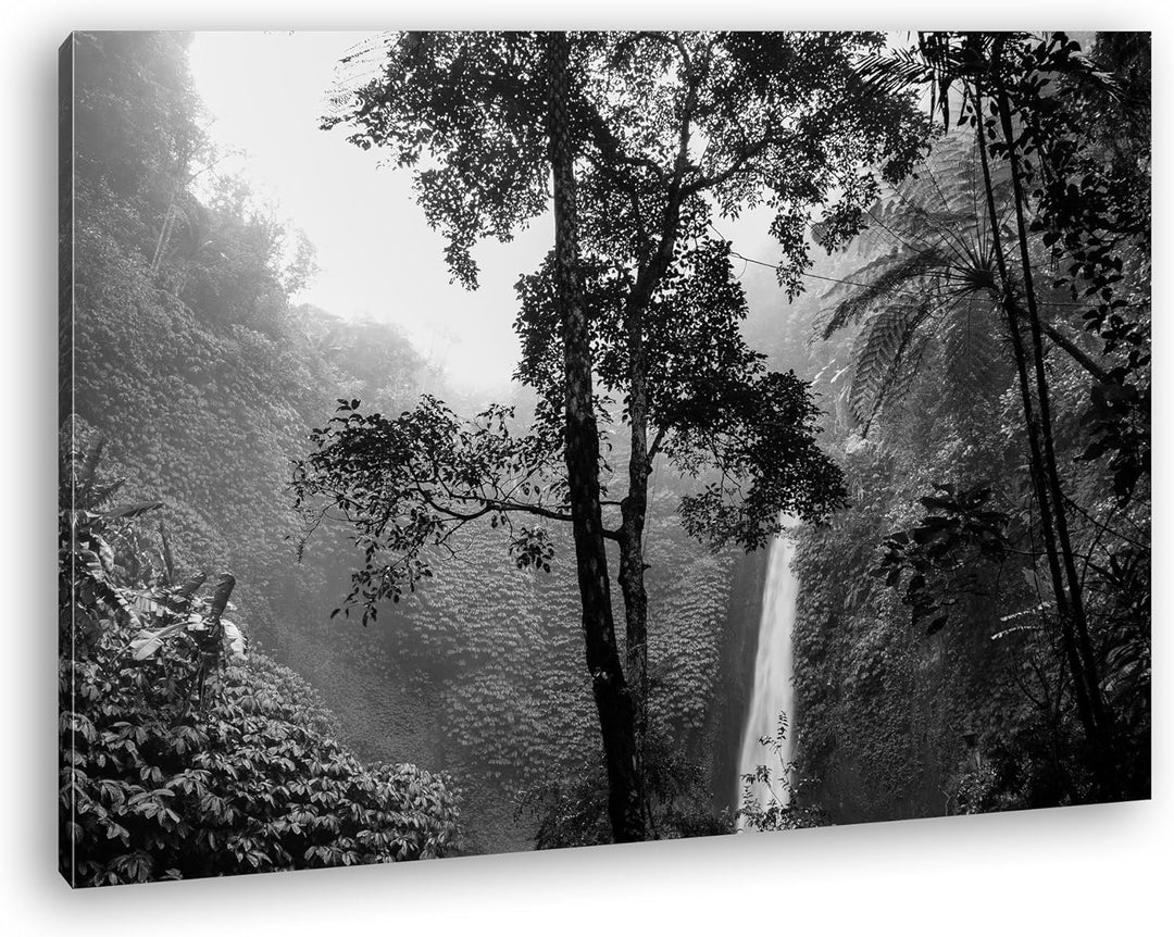 deyoli Wasserfall im tropischem Regenwald Effekt: Schwarz/Weiss Format: 60x40 als Leinwand, Motiv fe
