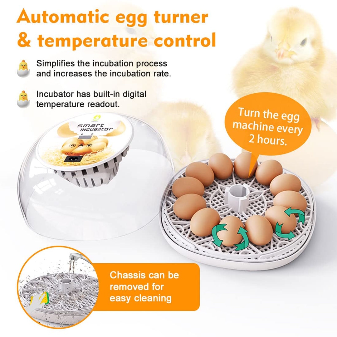 Inkubator Hühner Vollautomatisch, Brutmaschine 12 Eier-Brutapparat mit Display, Temperaturregelung E