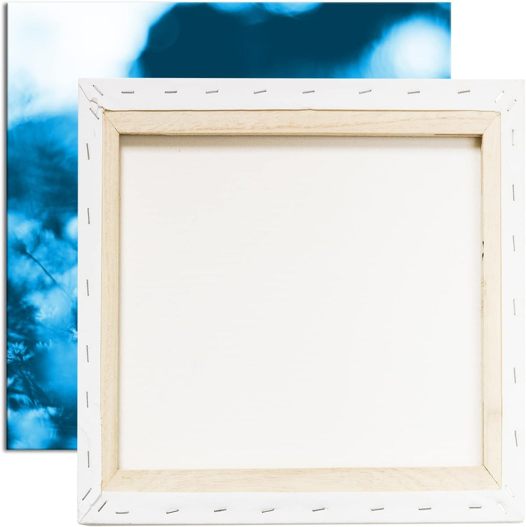 deyoli weisse Wildblumen Format: 70x70 Effekt: Monocrome Blau als Leinwandbild, Motiv fertig gerahmt