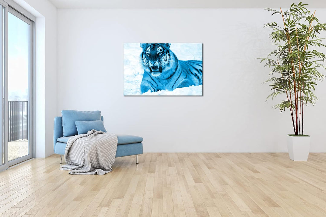 deyoli knurrender Tiger im Schnee Format 80x60 Effekt: Monocrome Blau als Leinwandbild, Motiv fertig