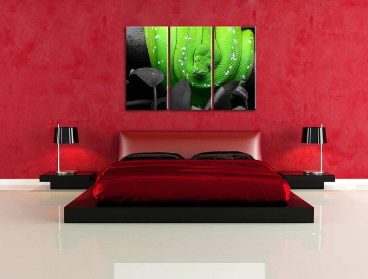 Giftige Grüne Schlange schwarz/weiss 3-Teiler Leinwandbild 120x80 Bild auf Leinwand, XXL riesige Bil
