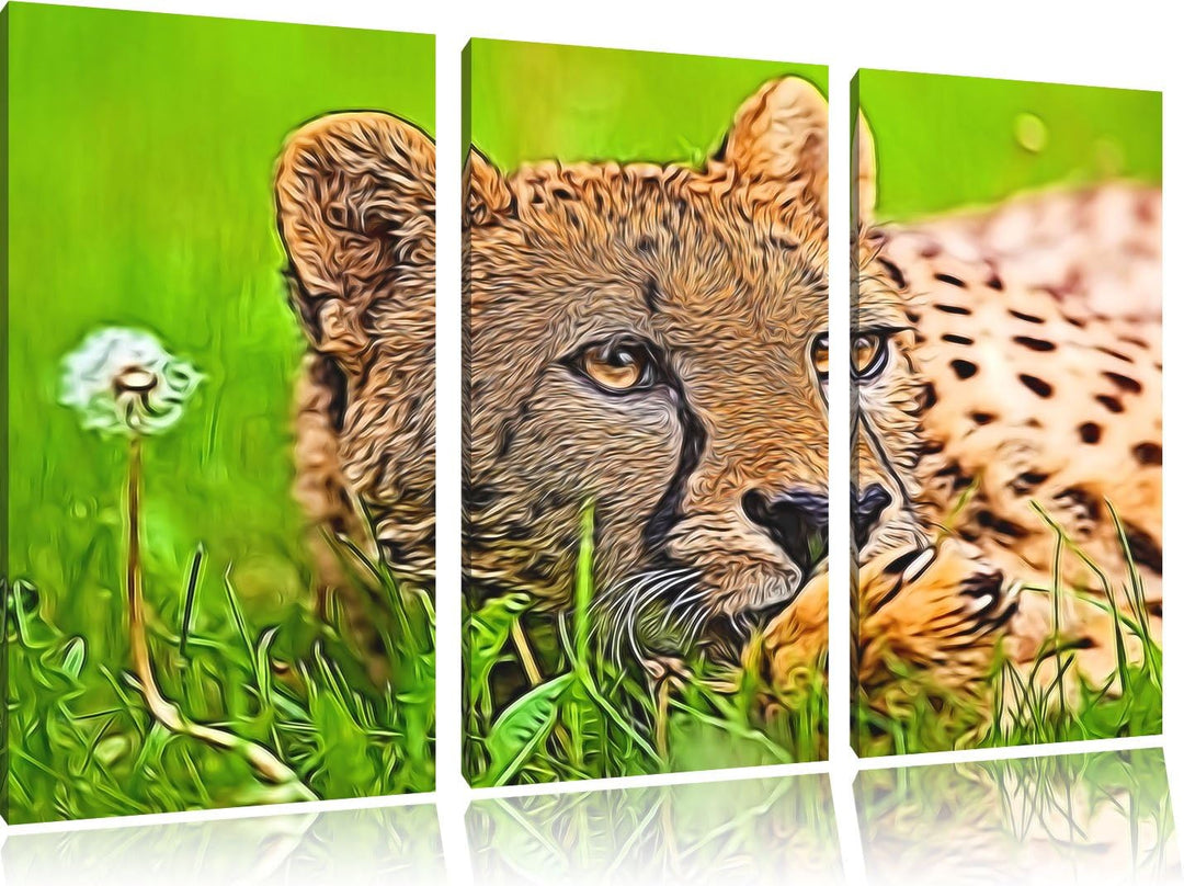 Gepard im Gras Spezial 3-Teiler Leinwandbild 120x80 Bild auf Leinwand, XXL riesige Bilder fertig ger