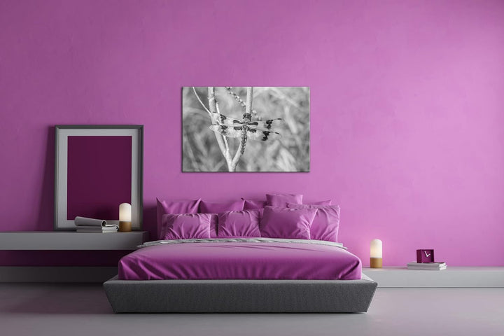 deyoli zauberhafte Drachen Libelle Format: 80x60 Effekt: Schwarz&Weiss als Leinwandbild, Motiv ferti