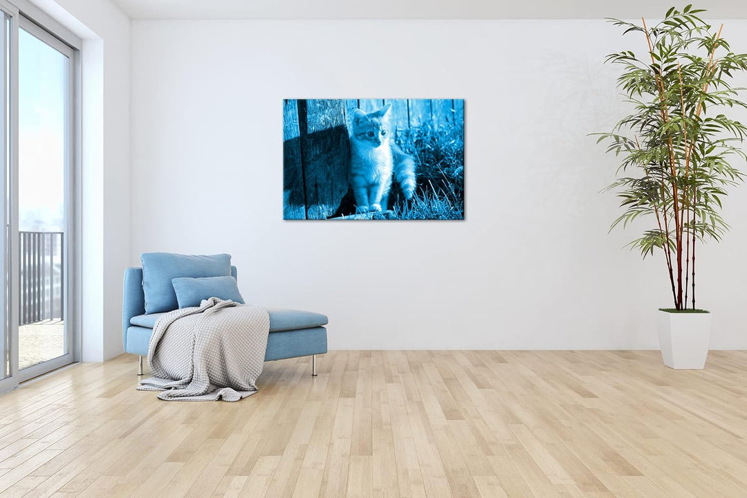 deyoli süsse kleine Katze im Sonnenschein Format 80x60 Effekt: Monocrome Blau als Leinwandbild, Moti