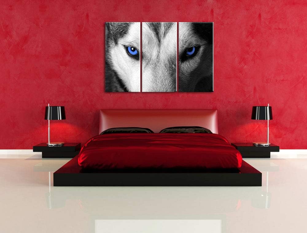 Gefährlicher Husky mit eisblauen Augen schwarz/weiss 3-Teiler Leinwandbild 120x80 Bild auf Leinwand,