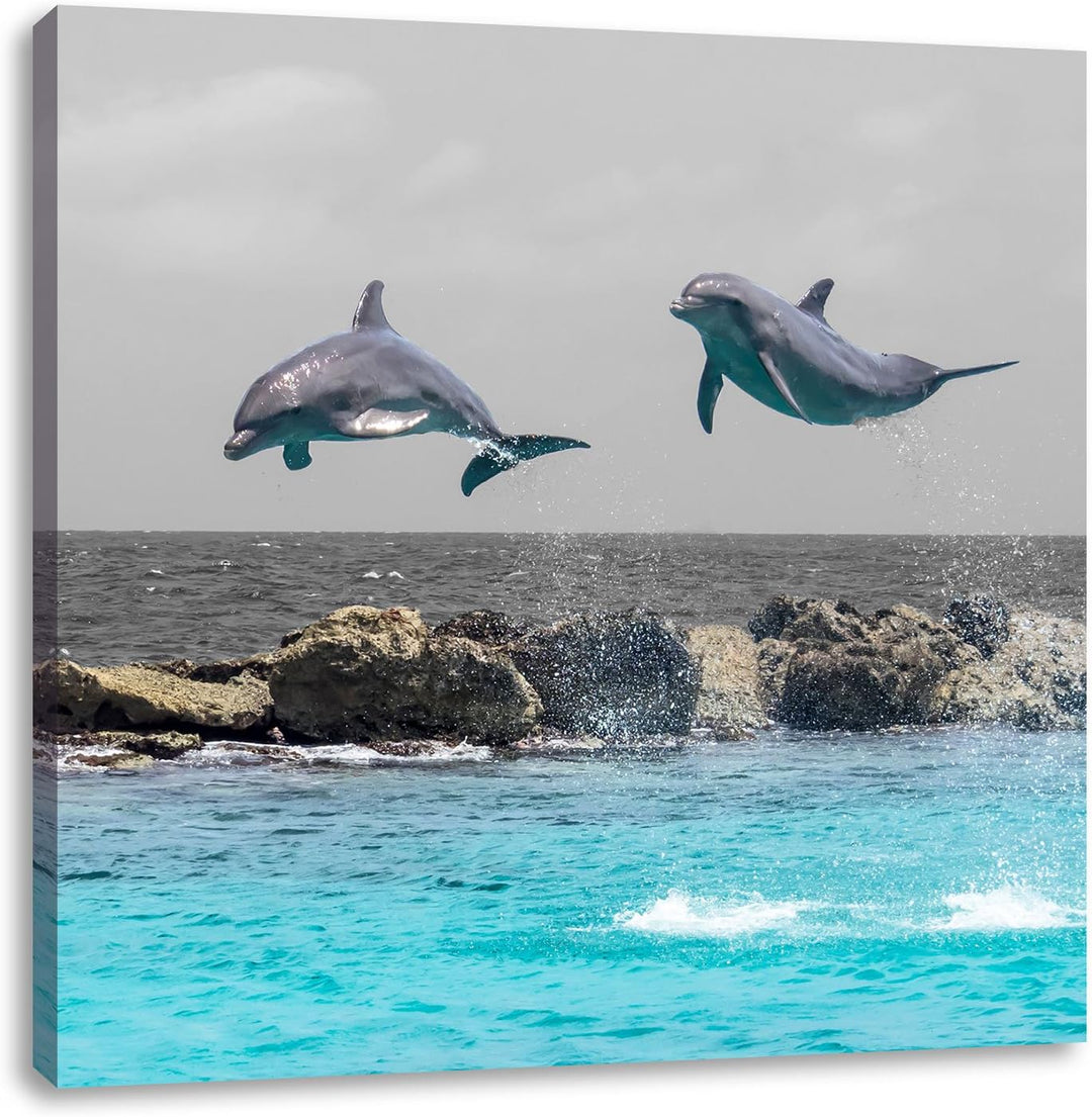 Pixxprint Zwei hoch springende Delphine als Leinwandbild Quadratisch/Grösse: 70x70 / Wandbild/Kunstd