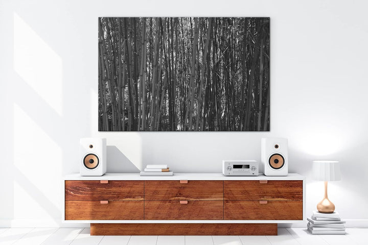 deyoli wildwachsender Bambus-Dschungel Effekt: Schwarz&Weiss,Format: 60x40 als Leinwandbild, Motiv f