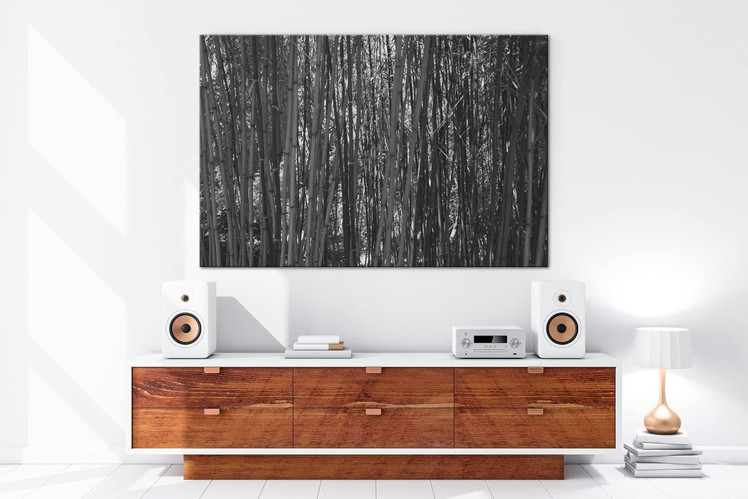 deyoli wildwachsender Bambus-Dschungel Effekt: Schwarz&Weiss,Format: 60x40 als Leinwandbild, Motiv f