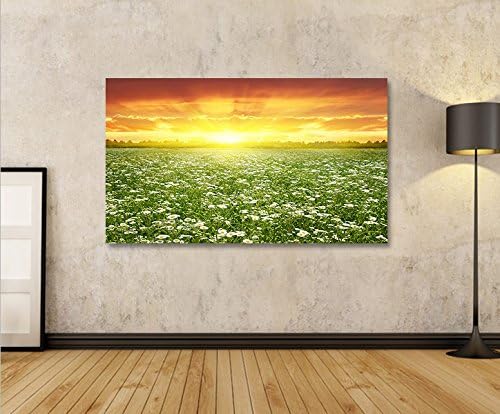 islandburner Bild Bilder auf Leinwand Blumenwiese 1p XXL Poster Leinwandbild Wandbild Art up Your Li
