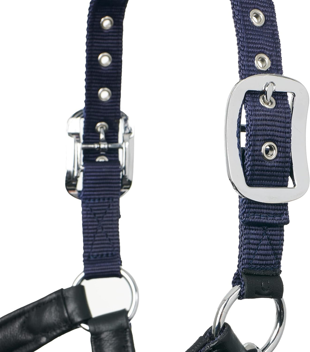 LeMieux Capella Headcollar Halfter, navy