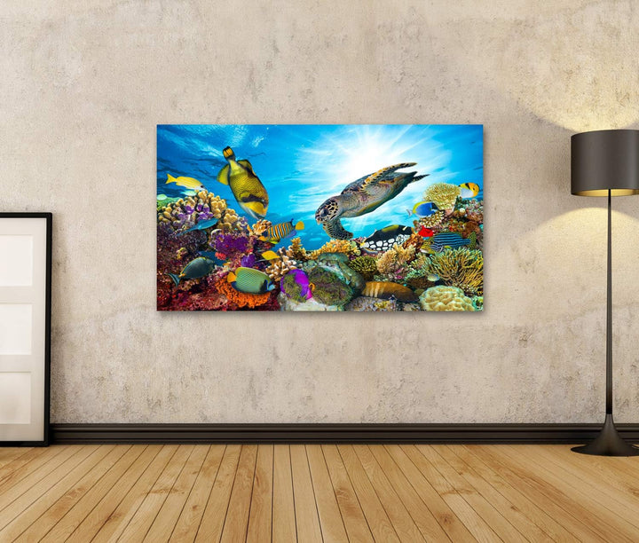 islandburner Bild auf Leinwand Buntes Korallenriff Viele Fische Meeresschildkröte Bilder Wandbilder