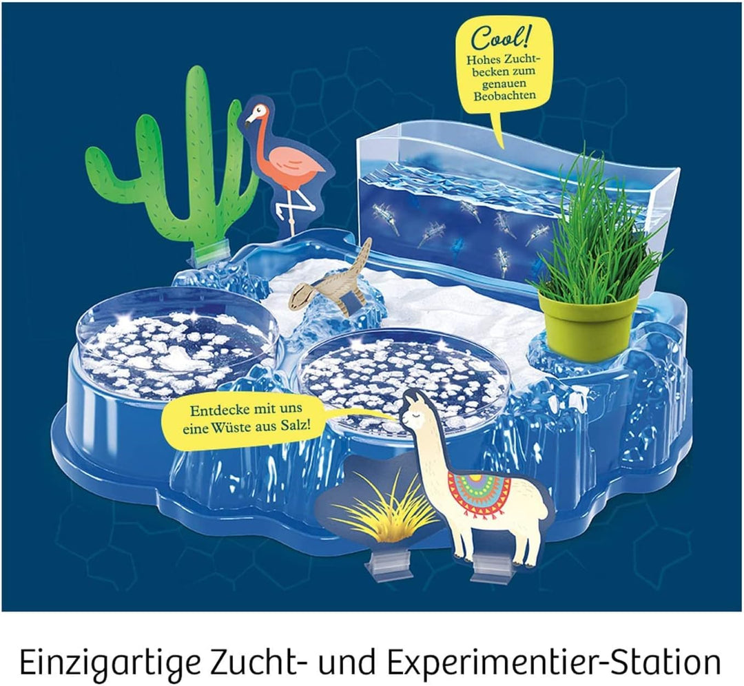 Kosmos 633264 Salzkrebse - Überlebenskünstler in der Wüste. Zucht- und Experimentierstation für Urze