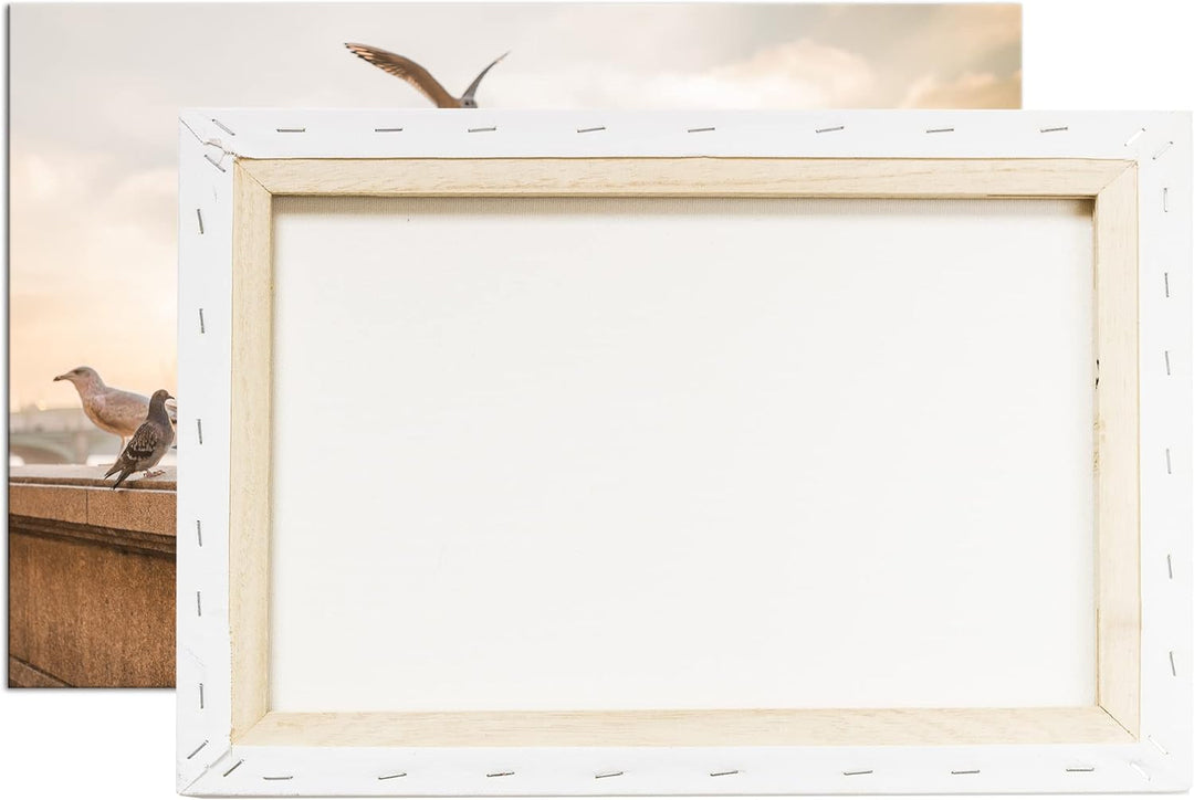 deyoli Tauben in London Format: 100x70 cm als Leinwandbild, Motiv fertig gerahmt auf Echtholzrahmen,