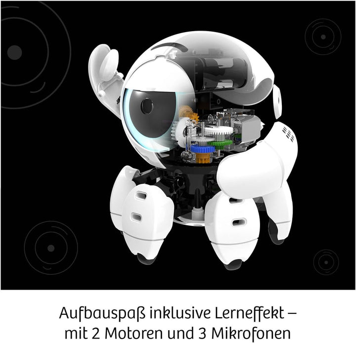 Kosmos 617424 Bitsy - Dein cleverer Robo-Freund, Roboter für Kinder, Steuere Bitsy mit Sound-Klicker