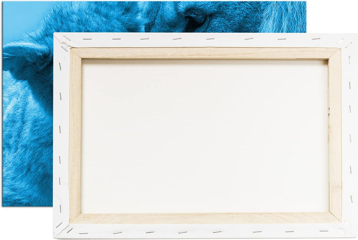 deyoli wilde Löwen Format 80x60 Effekt: Monocrome Blau als Leinwandbild, Motiv fertig gerahmt auf Ec