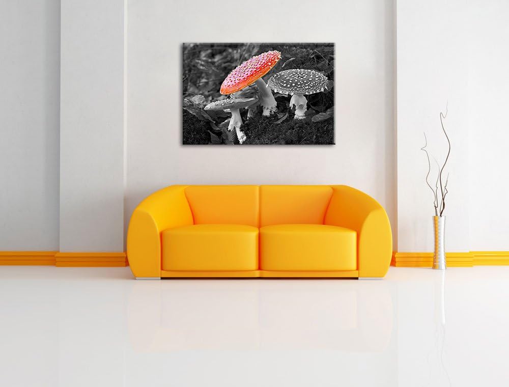 prächtige Fliegenpilze auf Waldboden schwarz/weiss auf Leinwand, XXL riesige Bilder fertig gerahmt m
