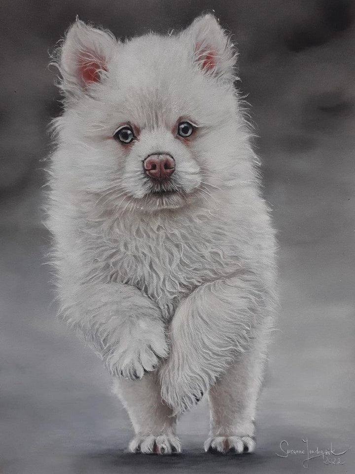 Clairefontaine 296020C Packung (mit 5 Zeichenbögen Pastelmat, 70 x 100 cm, 360 g, ideal für Trockent