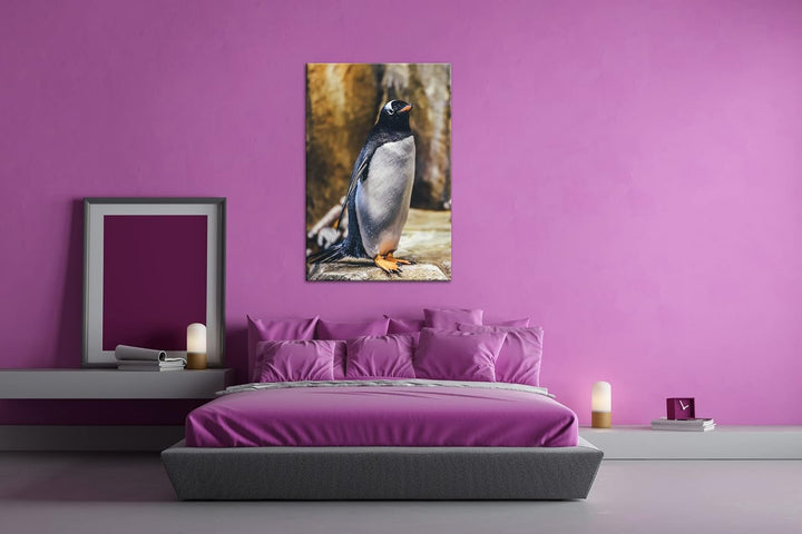 deyoli niedlicher Pinguin Format: 80x60 als Leinwand, Motiv fertig gerahmt auf Echtholzrahmen, Hochw