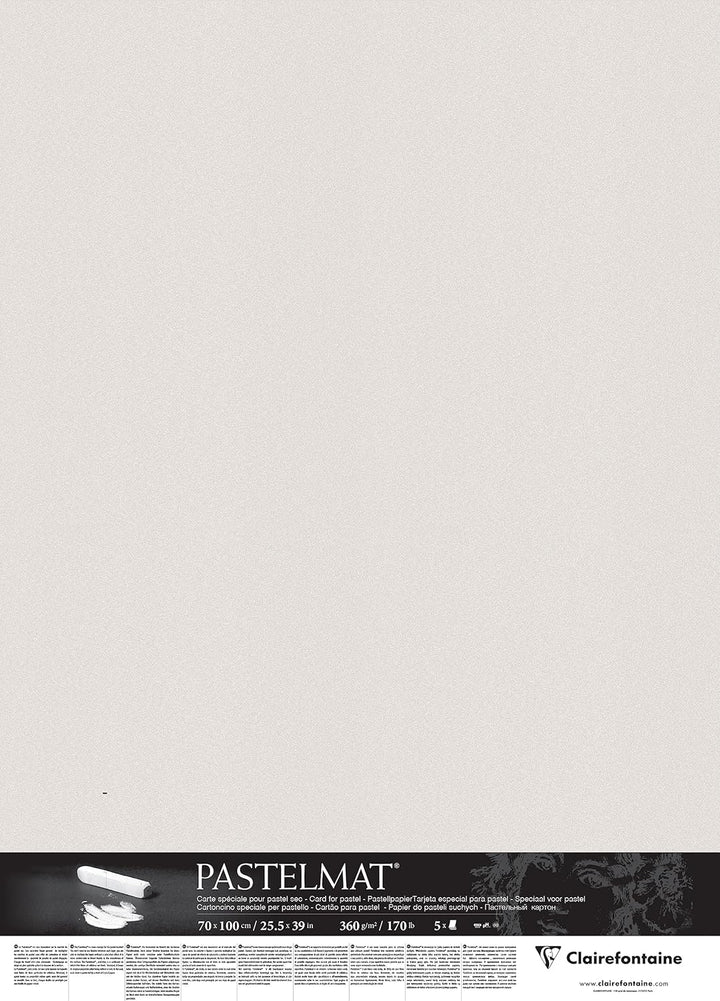 Clairefontaine 296020C Packung (mit 5 Zeichenbögen Pastelmat, 70 x 100 cm, 360 g, ideal für Trockent