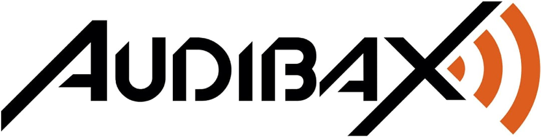 Audibax Sidney 500 B Micrófono Inalámbrico Profesional UHF Doble Mano + Maleta