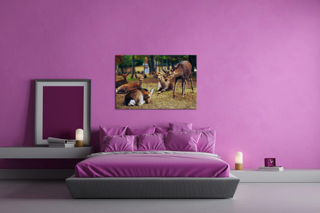 deyoli süsse Rehe im Wildgehege Format: 80x60 als Leinwand, Motiv fertig gerahmt auf Echtholzrahmen,