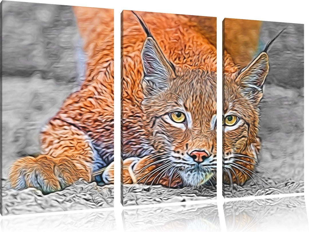 grosser wachsamer Luchs schwarz/weiss Deluxe 3-Teiler Leinwandbild 120x80 Bild auf Leinwand, XXL rie