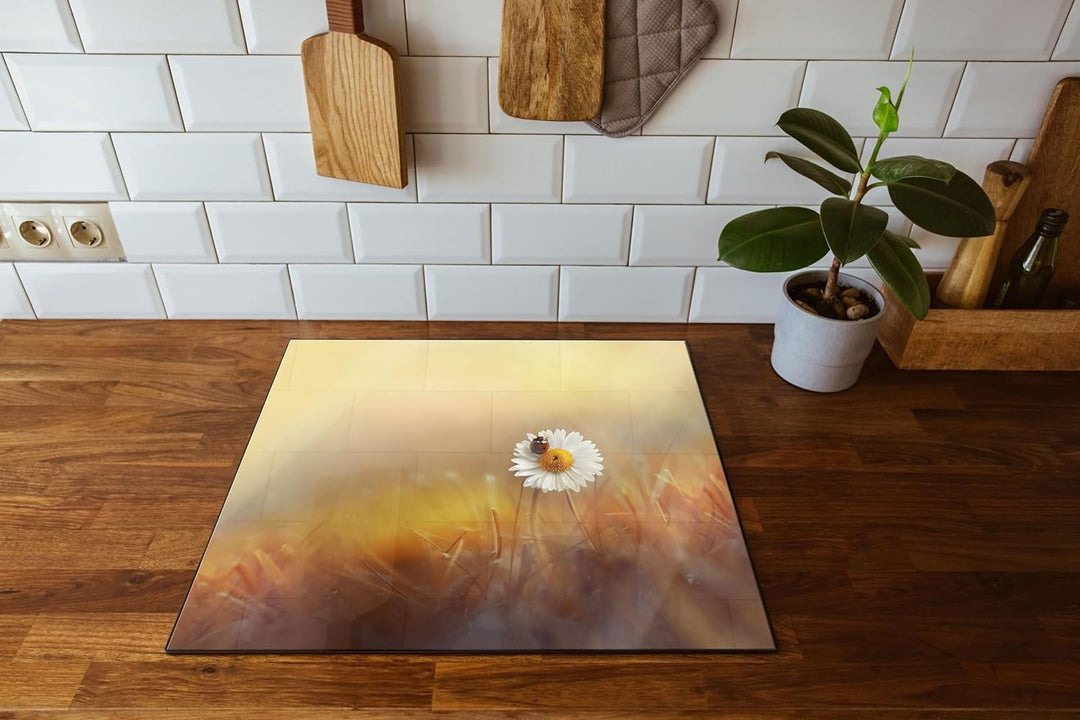 Gänseblümchen mit Marienkäfer Herdabdeckplatte & Spritzschutz aus Echtglas | Für Herd-Kochfelder | 6