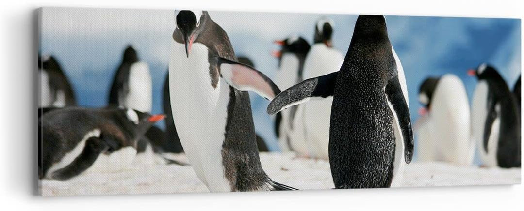 Panorama Bilder auf Leinwand Pinguine Winter Natur Schnee Leinwandbild 90x30cm Wandbilder Dekoration