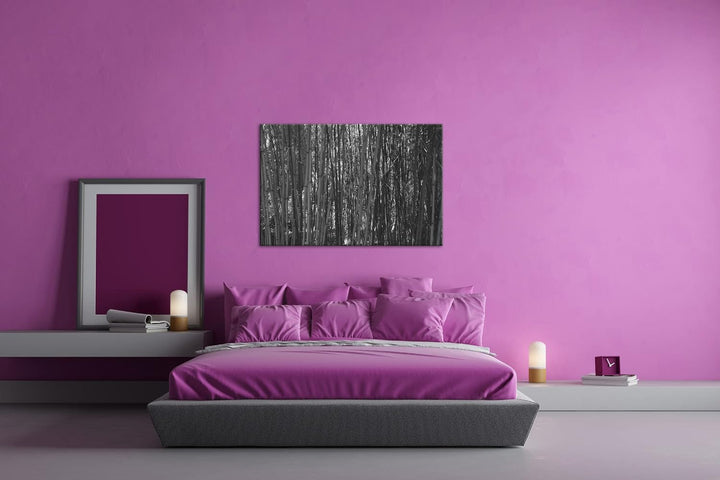 deyoli wildwachsender Bambus-Dschungel Effekt: Schwarz&Weiss,Format: 60x40 als Leinwandbild, Motiv f