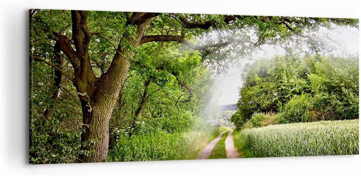 Wandbilder Dekoration Wohnzimmer Pfad Natur Wald Grün Panorama Bilder auf Leinwand 120x50cm Leinwand