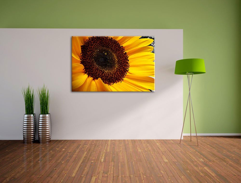 grosse anmutige Sonnenblume schwarz/weiss auf Leinwand, XXL riesige Bilder fertig gerahmt mit Keilra