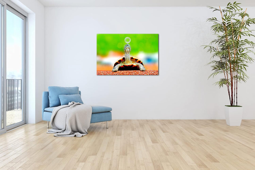 deyoli lustige Schildkröte spielt mit einer Seifenblase Format: 60x40 als Leinwand, Motiv fertig ger