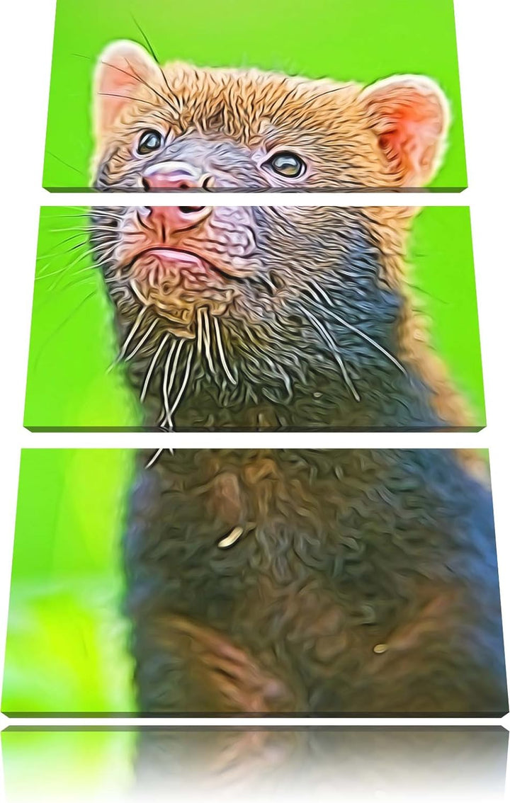 freches Frettchen Spezial 3-Teiler Leinwandbild 120x80 Bild auf Leinwand, XXL riesige Bilder fertig