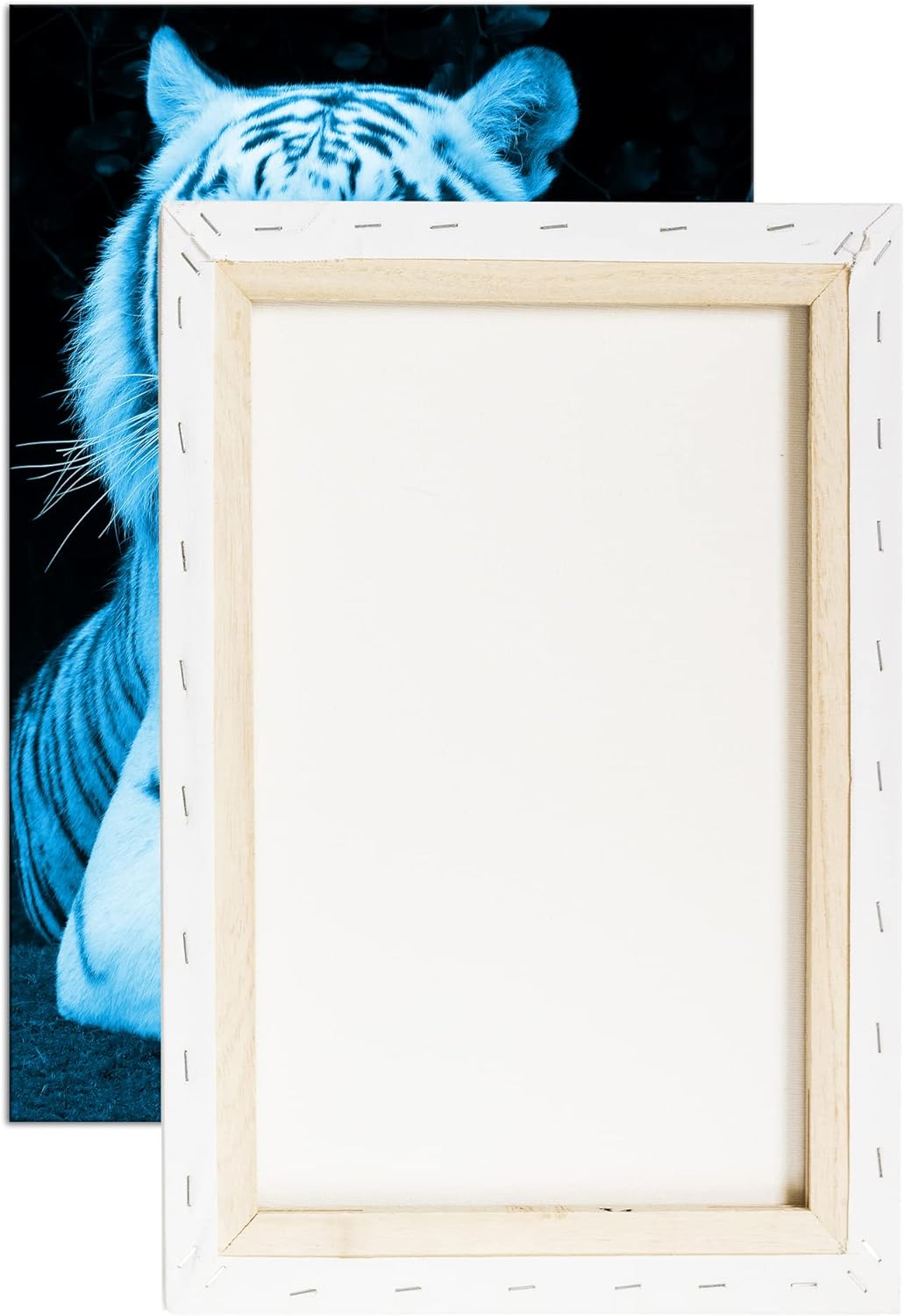 deyoli majestätischer Tiger Format 80x60 Effekt: Monocrome Blau als Leinwandbild, Motiv fertig gerah