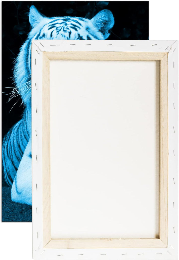 deyoli majestätischer Tiger Format 80x60 Effekt: Monocrome Blau als Leinwandbild, Motiv fertig gerah