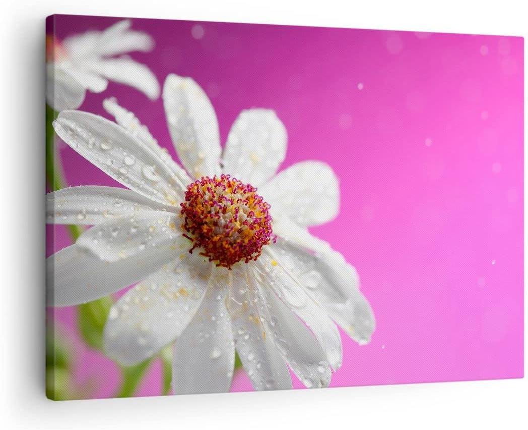 ARTTOR Bilder auf Leinwand Blume frühling garten Leinwandbild 70x50cm Wandbilder Dekoration Wohnzimm