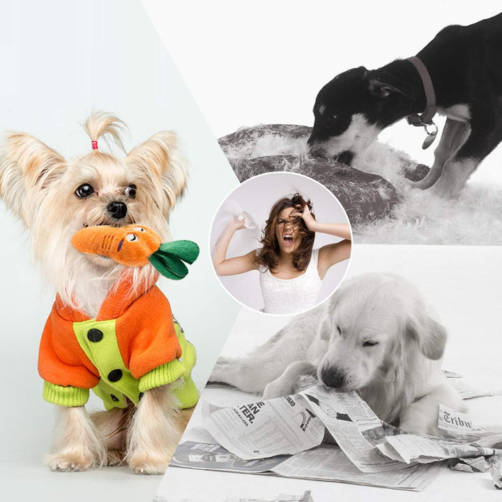 Nocciola Quietsch-Spielzeug für Hunde, niedliches Plüsch-Spielzeug für kleine und mittelgrosse Hunde