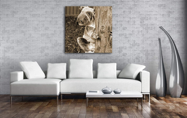 deyoli niedlicher Koala in Australien Format: 70x70 Effekt: Sepia als Leinwandbild, Motiv auf Echtho