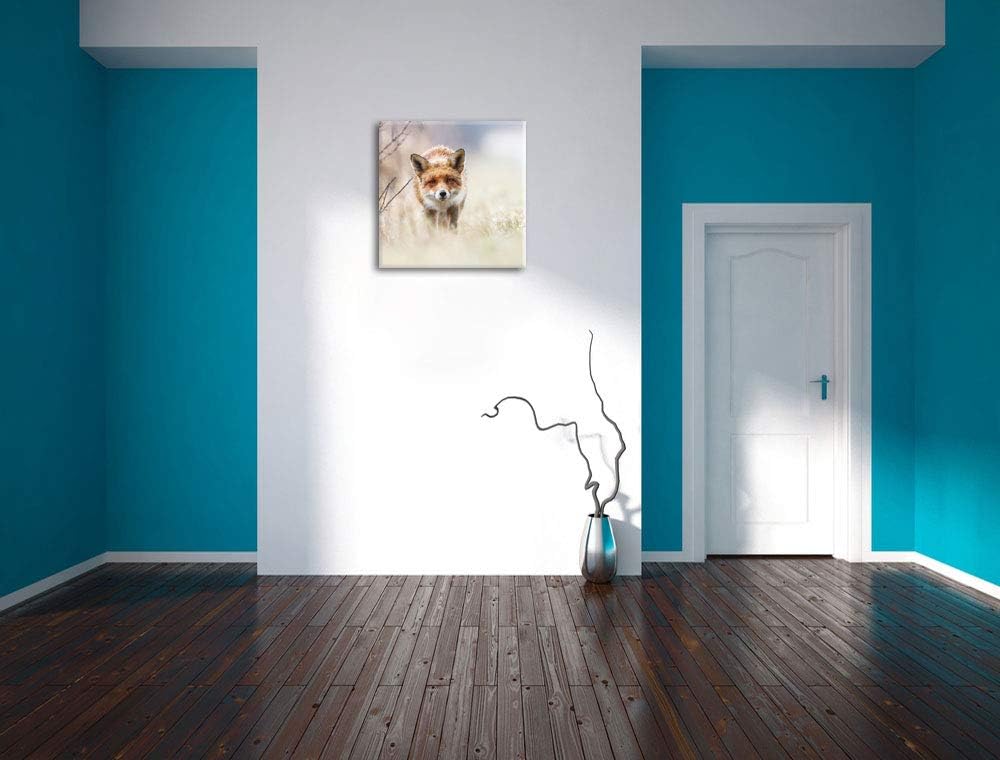 Schleichender fuchs, Format: 70x70 auf Leinwand, XXL riesige Bilder fertig gerahmt mit Keilrahmen, K