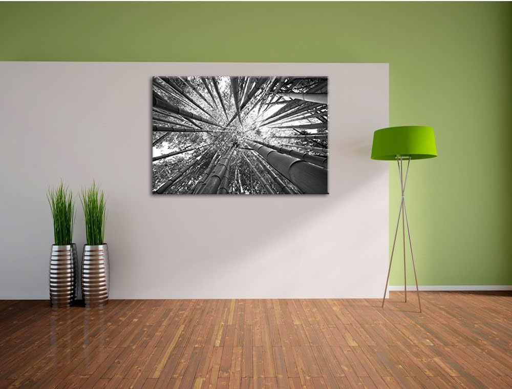 Grüner Bambus Kunst B&W, Format: 100x70 auf Leinwand, XXL riesige Bilder fertig gerahmt mit Keilrahm