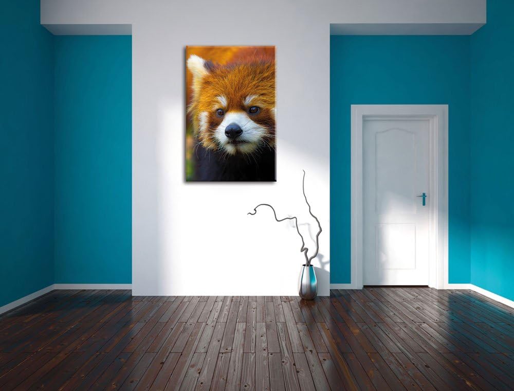 Roter Pandabär auf Ast, Format: 100x70 auf Leinwand, XXL riesige Bilder fertig gerahmt mit Keilrahme